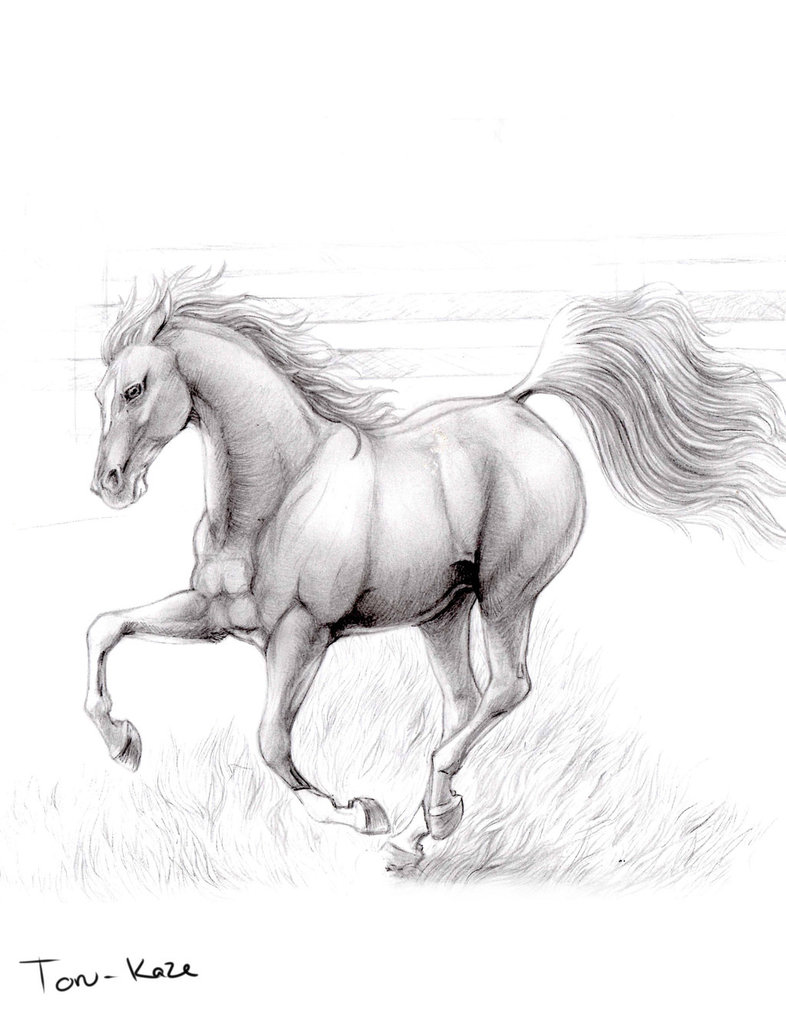 786x1017 Running Horse By Toru Kaze