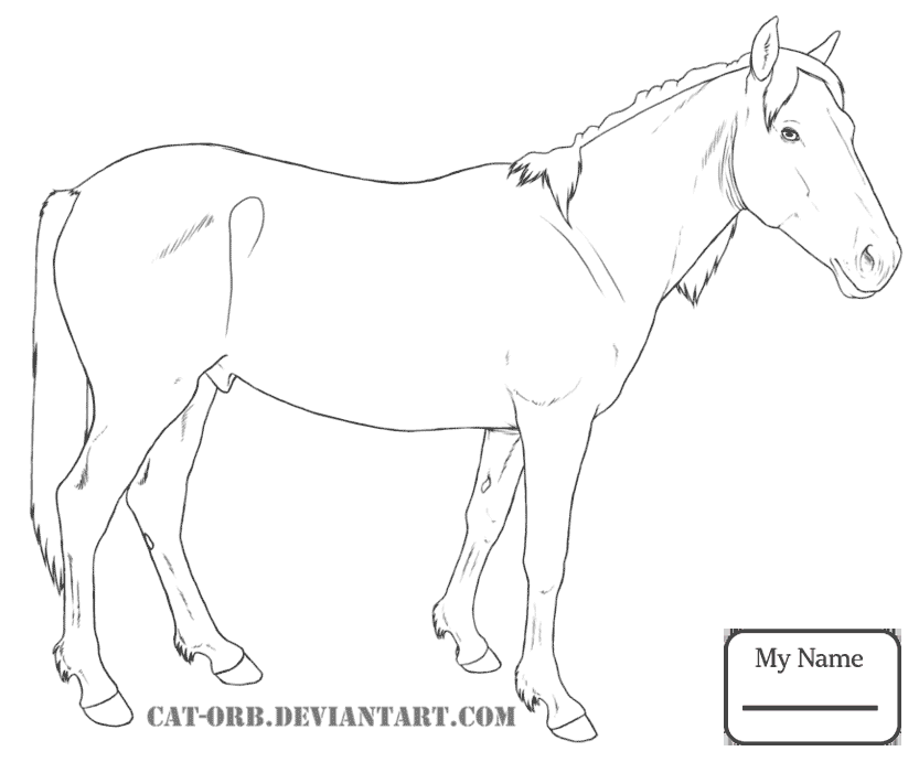 833x691 Coloring Pages Horses Australian Stock Horse Mammals