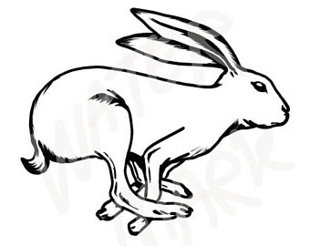 340x270 Jumping Hare Etsy