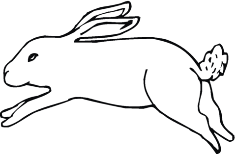 480x314 Running Jack Rabbit Coloring Page Free Printable Coloring Pages