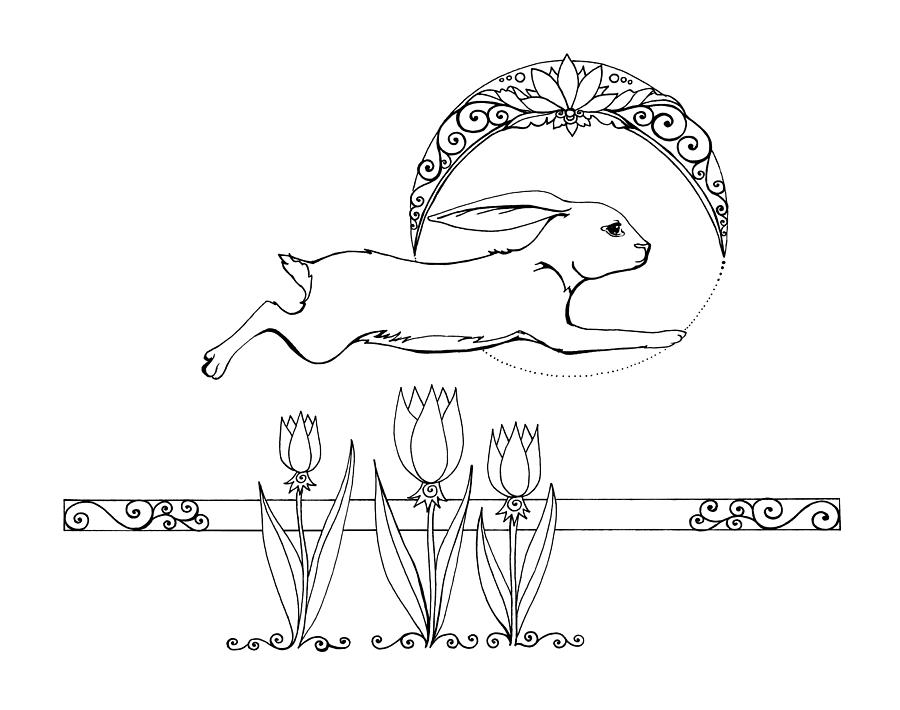 900x710 Running Rabbit Drawing By Katherine Nutt