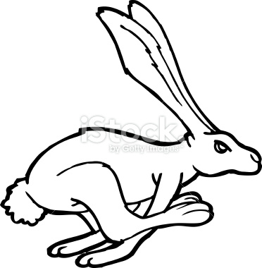 372x380 Part Of A Collection On The Tortoise And The Hare. Vector Art