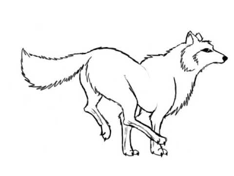 480x360 Running Wolf 6 Frame Animation For My Iwu Process Speech