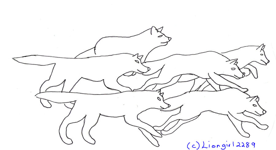 900x490 Running Wolves Lineart By Liongirl2289