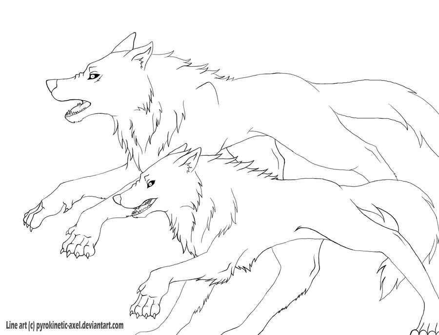 900x688 Running Wolves Lines By Sucrotine
