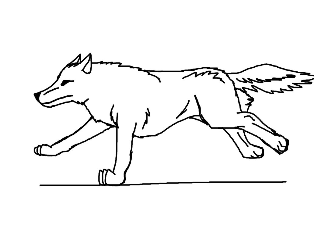 Running Wolf Drawing at GetDrawings | Free download