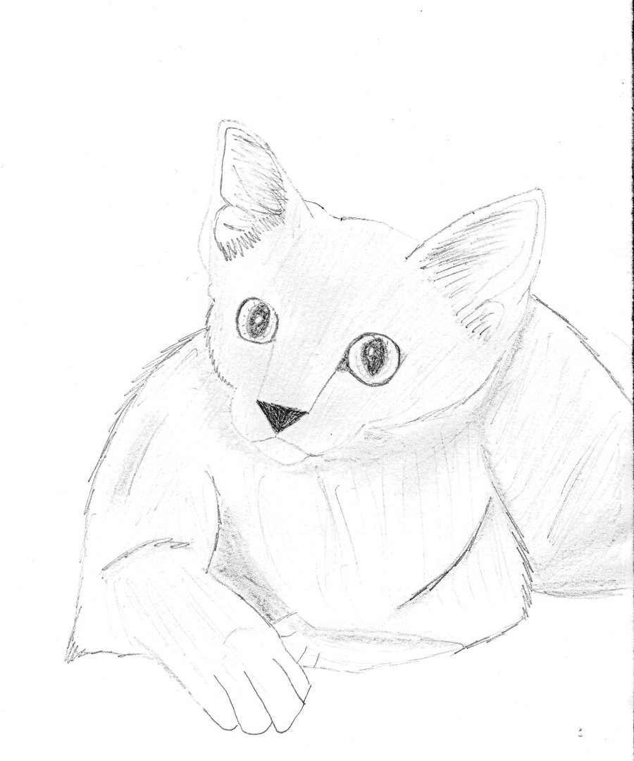 900x1081 Russian Blue Cat By Bitten2007