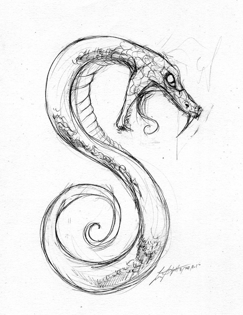 850x1100 Snake Sketch