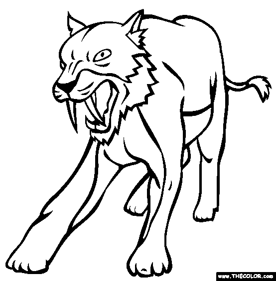 554x565 Saber Tooth Tiger Coloring Pages