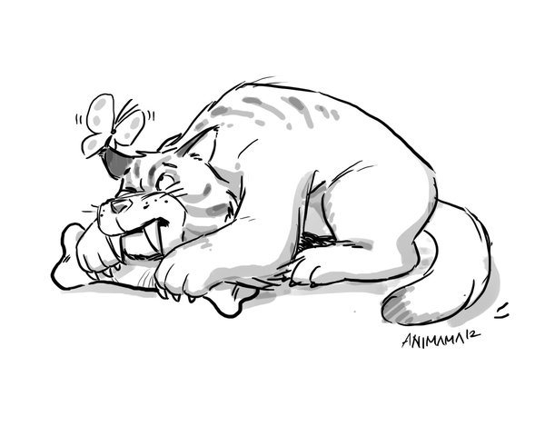 600x480 Cute Sabertooth Tiger By Animama