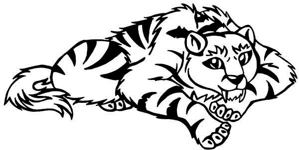 600x302 Genuine Saber Tooth Tiger Coloring Pages A Cartoon Illustration