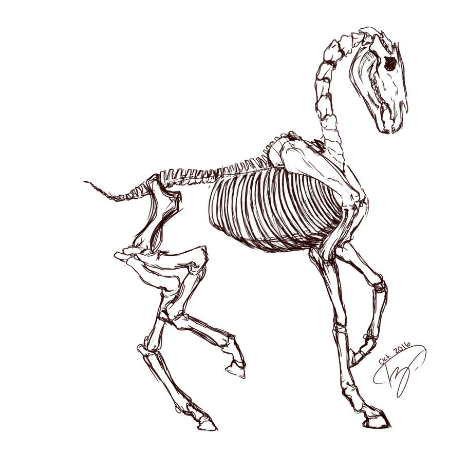 911x878 Sack Rabbit (Taya)