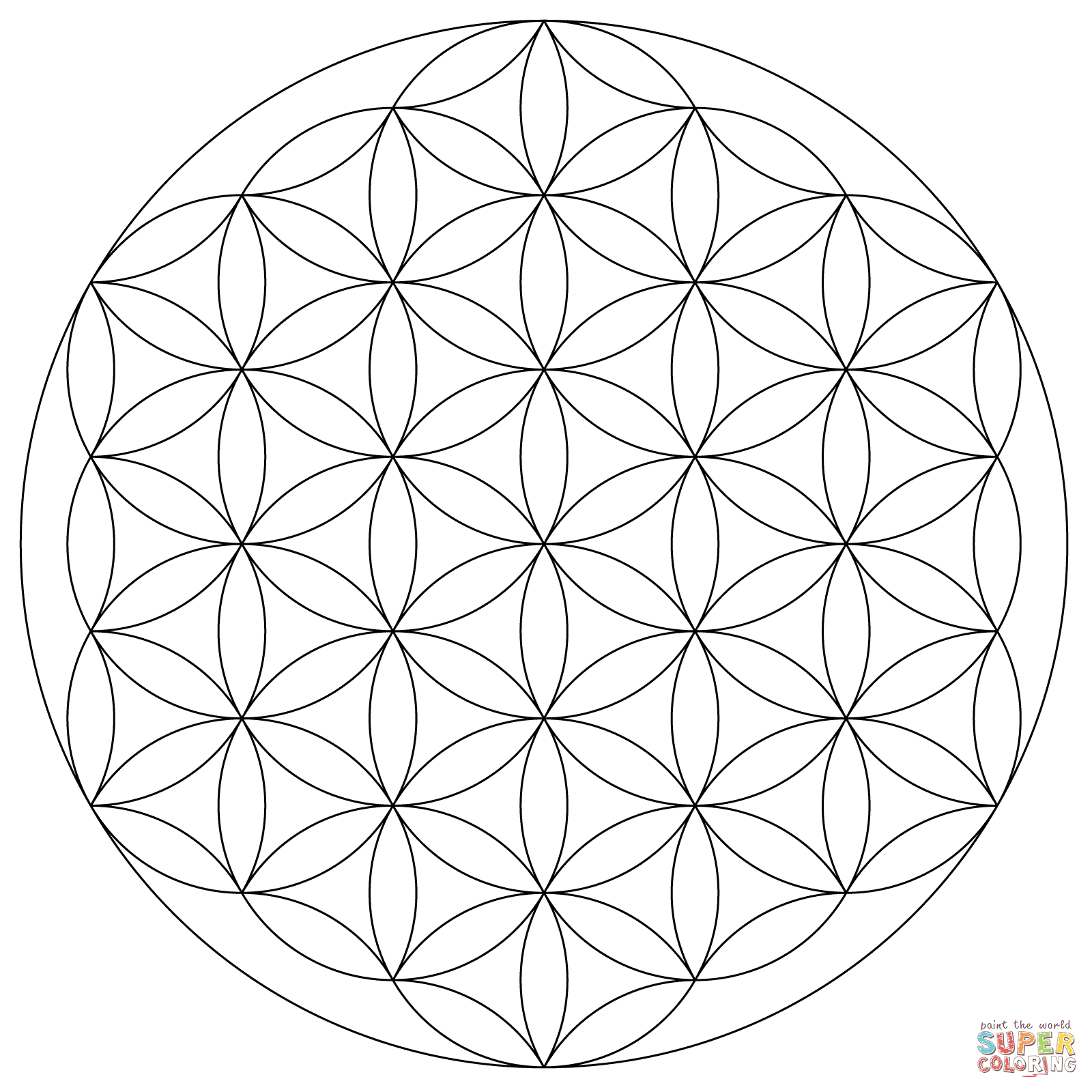 1600x1600 Drawing The Flower Of Life Flower Of Life