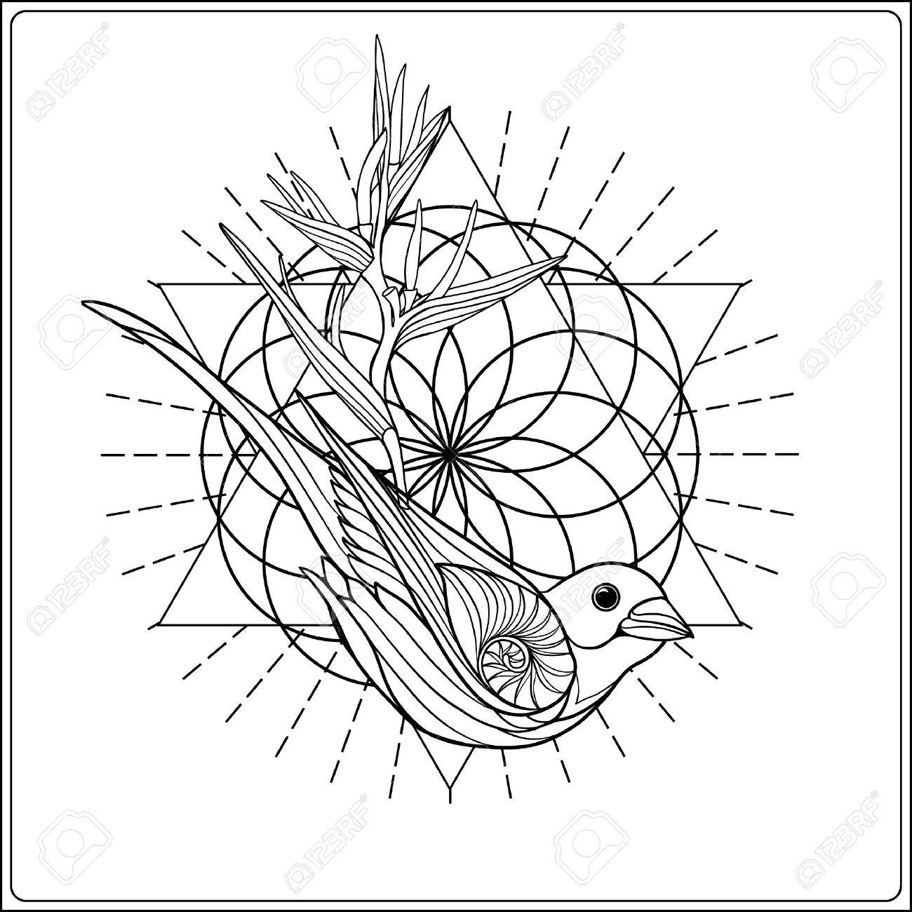 1300x1300 Tropical Animals And Plants Background With Sacred Geometry