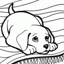 268x268 Sad Dog Coloring Page Kids Drawing And Coloring Pages