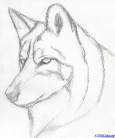 236x282 Wolf Drawing Idea Drawings Drawing Ideas, Wolf