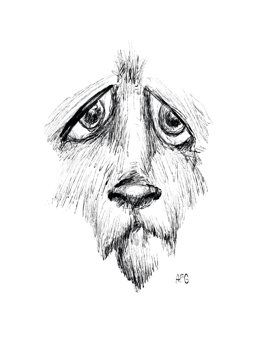 900x1201 House Of October Sad Pup