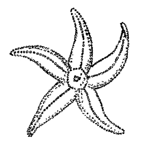 288x288 Sad Lips Drawing