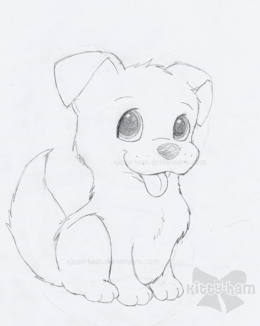 900x1129 Puppy Sketch By Kitty Ham