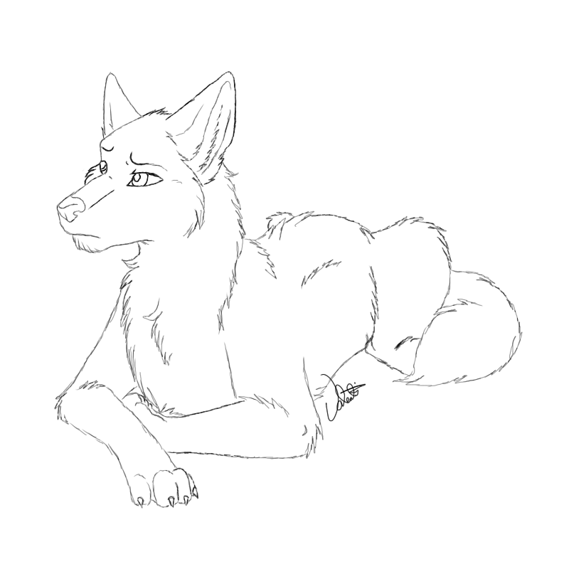 800x800 Sad Wolf By Silentbob6605