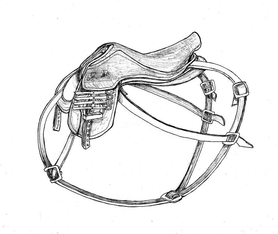 900x757 Dragon Saddle By Nykol Haebrd