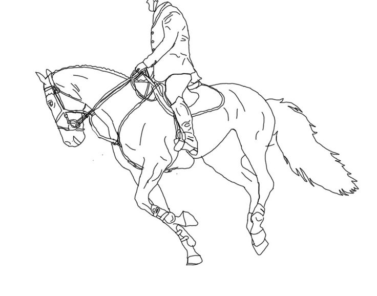 736x578 Free Line Art Under Saddle More Artists Like Horse