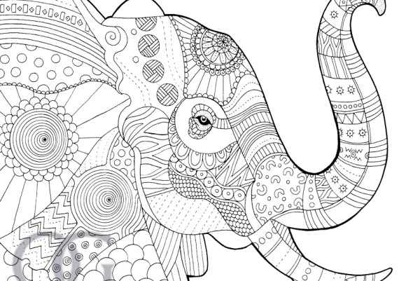 570x401 Anastasia Catris Draw Your Way To A Younger Brain Safari Previews