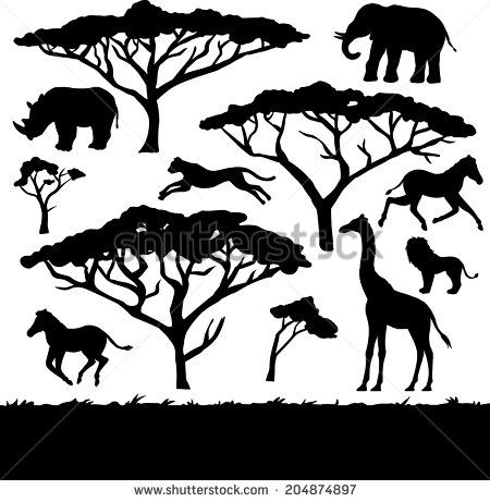 Safari Tree Drawing