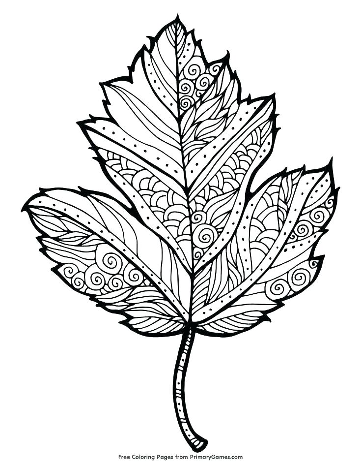 735x951 Good Jungle Leaves Coloring Pages Fee Safari Download Animal
