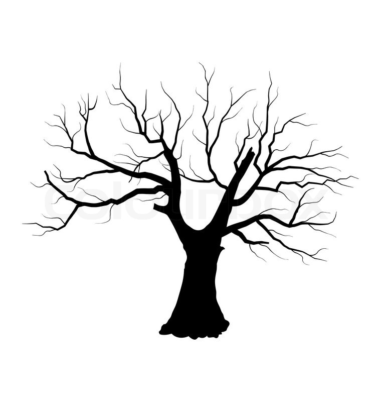 760x800 Illustration Sketch Of Dead Tree Without Leaves , Isolated