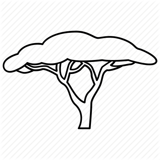 512x512 Acacia, Africa, Plain, Plains, Safari, Savannah Tree, Tree Icon