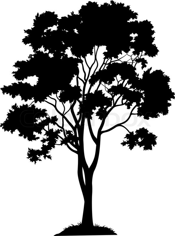 595x800 Maple Tree With Leaves And Grass, Black Silhouette On White