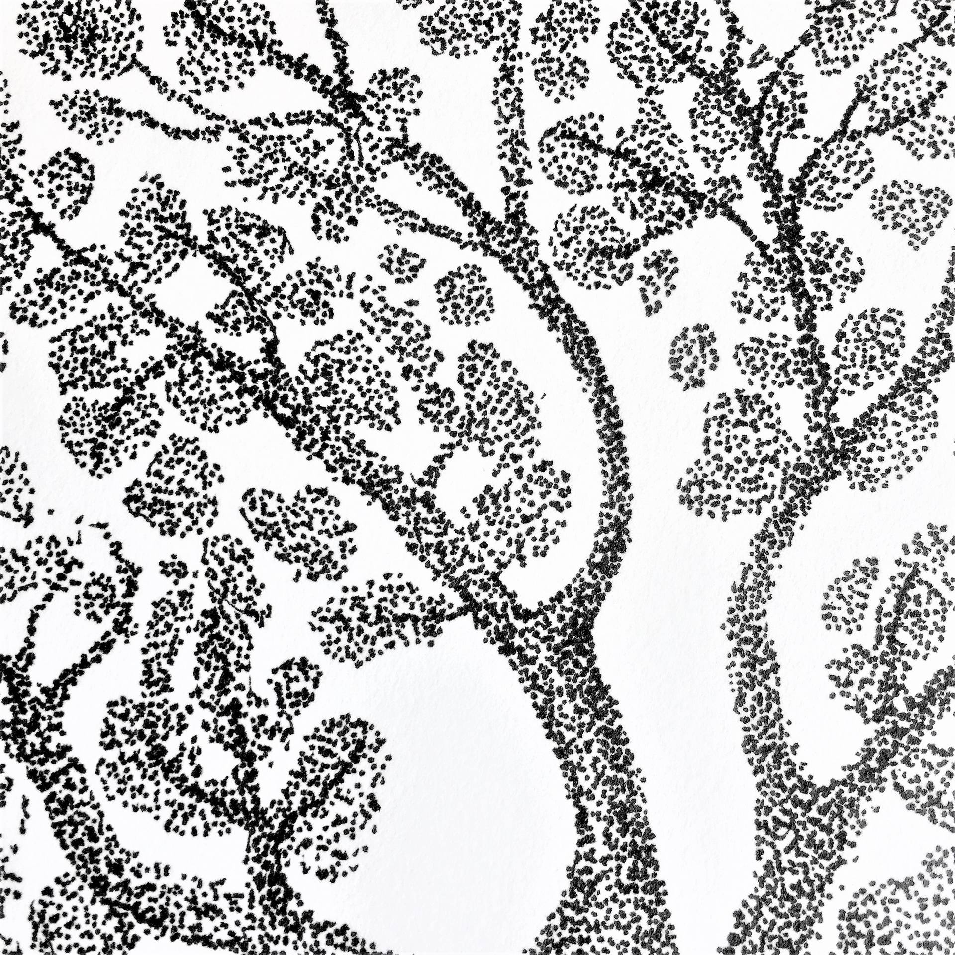 1920x1920 Saatchi Art Tree Drawing By Cristina Stefan