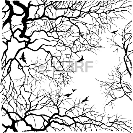 450x450 Safari Sunset Background, Nature Scenery, Trees And Giraffe