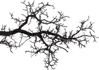 320x228 Set Of Hand Drawn Trees. Drawing Illustration Vector Stock