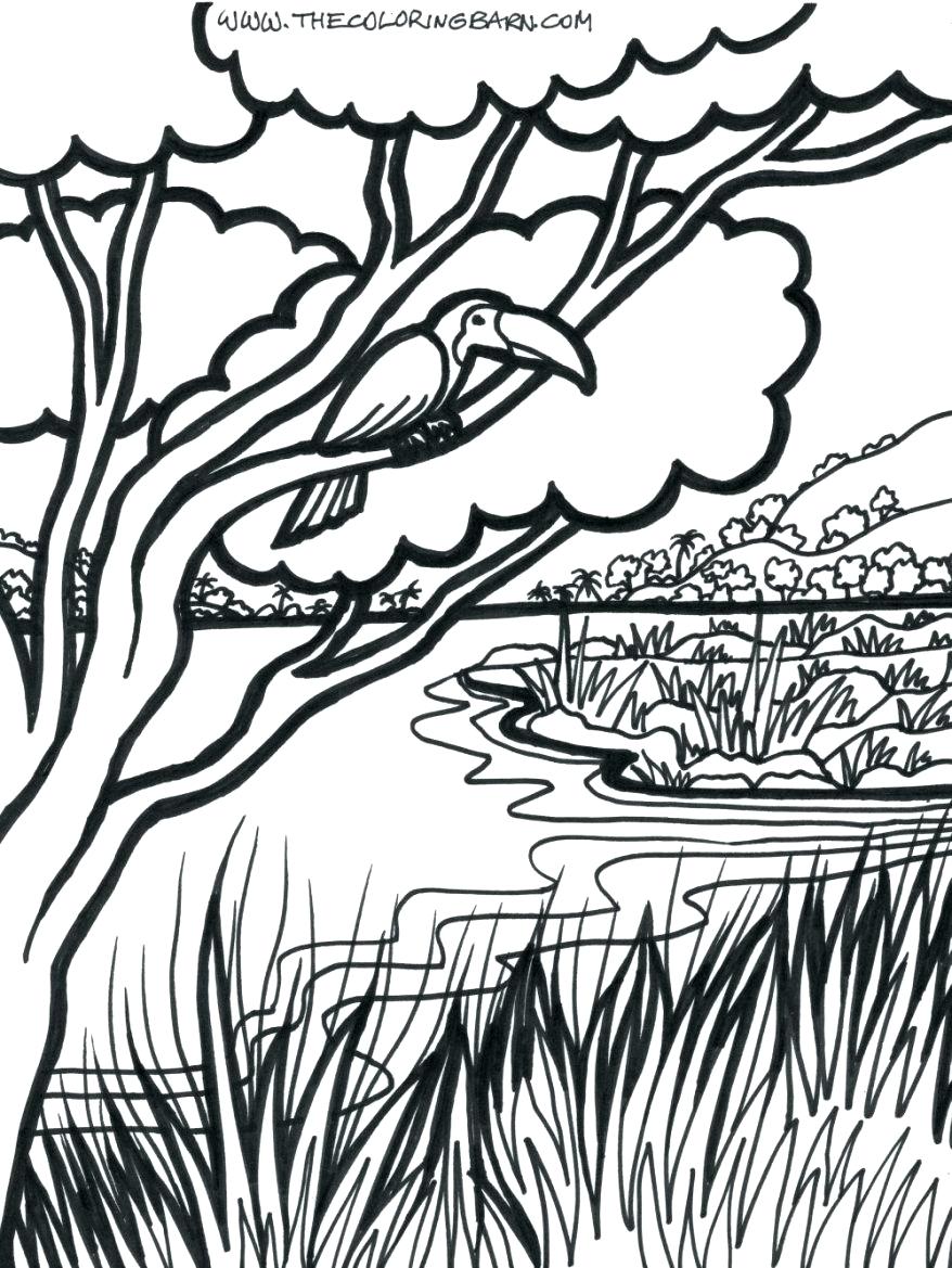 878x1169 Coloring Jungle Scene Coloring Pages