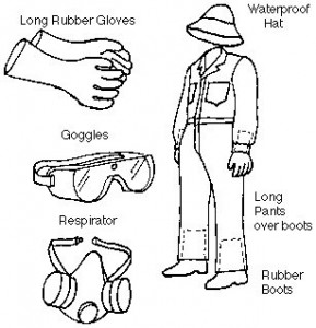 289x300 Equipment And Safety Eco Mold Go