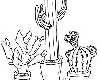 340x270 Cactus Illustration Drawing Print