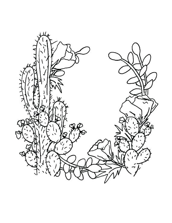 570x738 Complete Cactus Coloring Page Kids Pages 2 Saguaro
