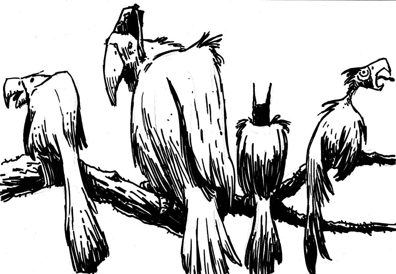 1271x879 Mike Cressy Art Sharpie Drawing The Birds!