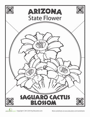301x388 Arizona State Flower Worksheet