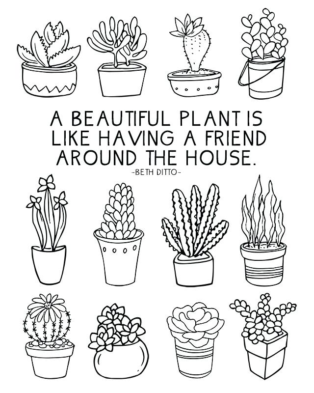 640x800 Cactus Coloring Page Fun Coloring Sheet Full Of Succulents