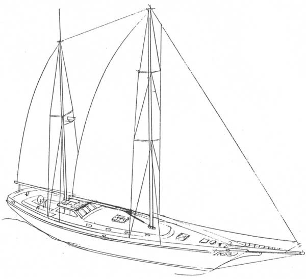 600x547 Carnation Coloring Page 548989