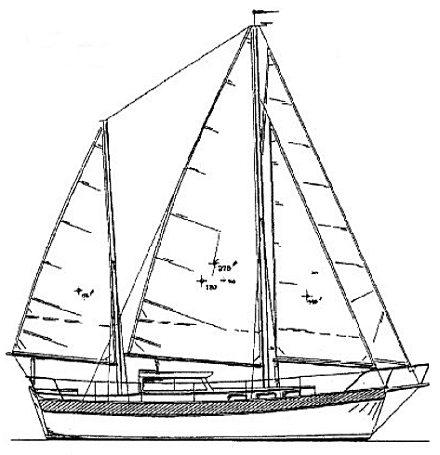 440x455 Drawn Yacht Sailor Boat