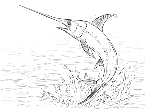 480x360 Swordfish Jumping Out Of Water Coloring Page Free Printable
