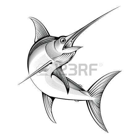 450x450 Vector Swordfish. Line Engraving Illustration Royalty Free