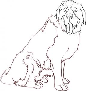 287x302 How To Draw A Saint Bernard, Step By Step, Pets, Animals, Free