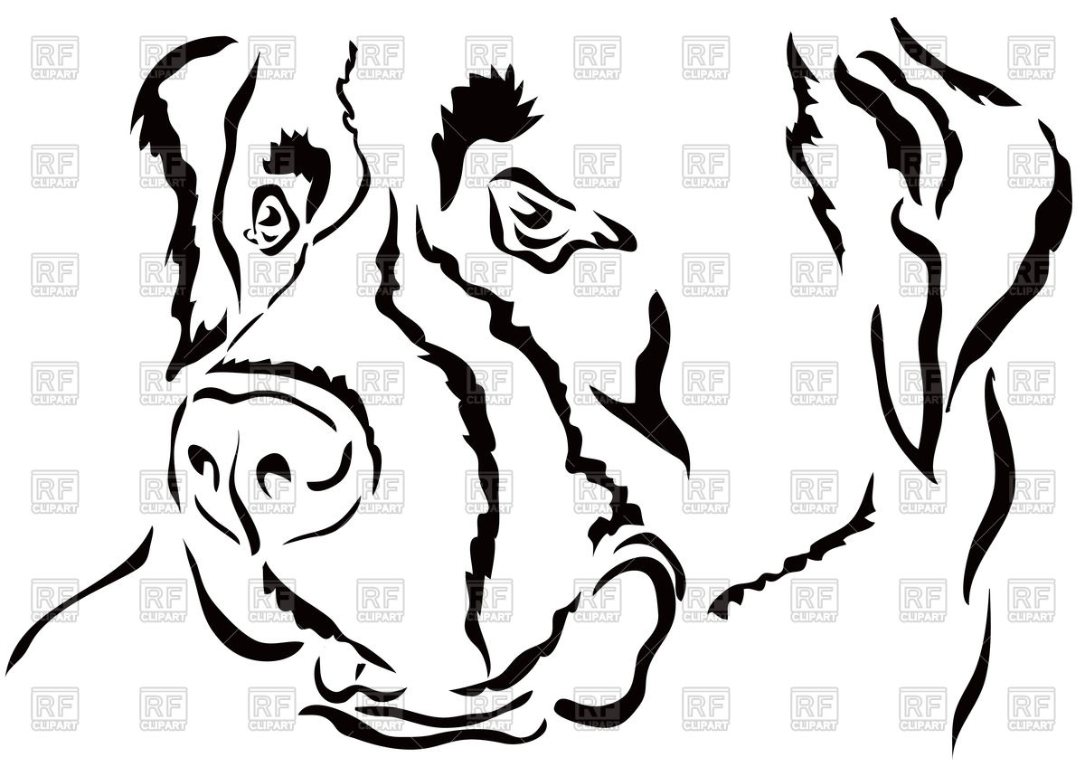 1200x848 St. Bernard