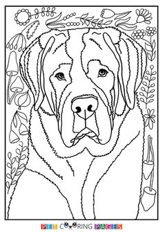 236x335 St. Bernard Coloring Page