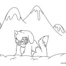 220x220 St. Bernard Coloring Pages